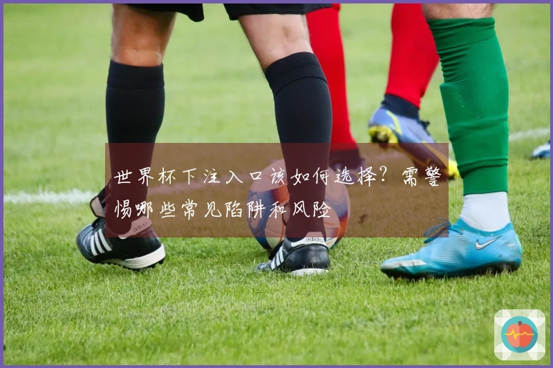 世界杯下注入口该如何选择?需警惕哪些常见陷阱和风险