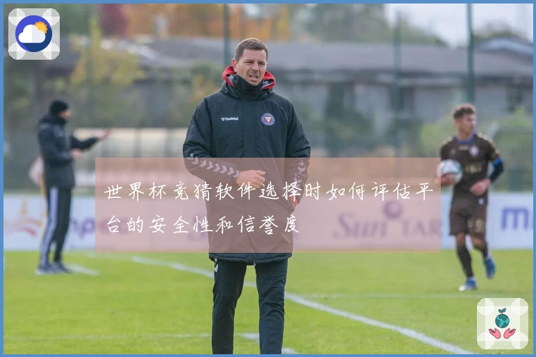 世界杯竞猜软件选择时如何评估平台的安全性和信誉度