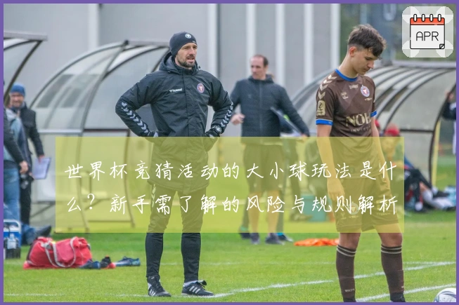 世界杯竞猜活动的大小球玩法是什么?新手需了解的风险与规则解析