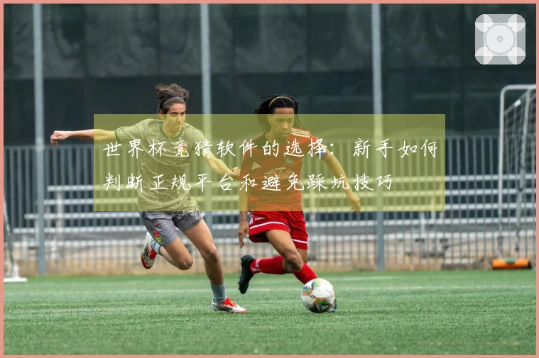 世界杯竞猜软件的选择：新手如何判断正规平台和避免踩坑技巧