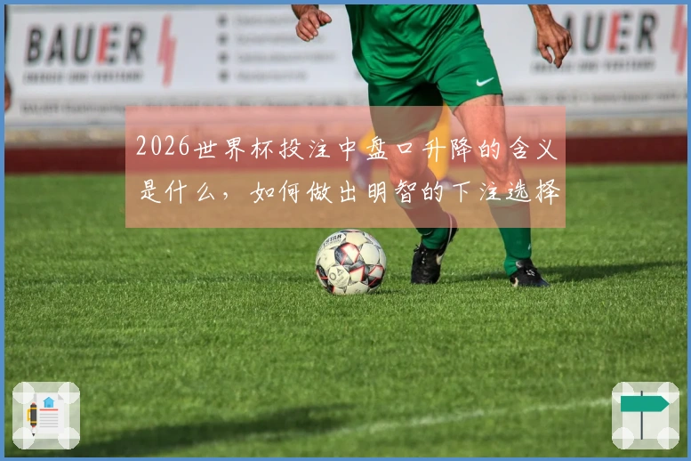2026世界杯投注中盘口升降的含义是什么，如何做出明智的下注选择？