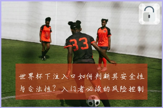 世界杯下注入口如何判断其安全性与合法性？入门者必读的风险控制指南