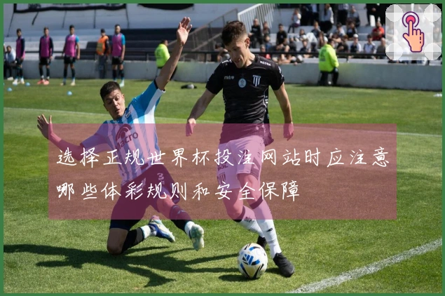 选择正规世界杯投注网站时应注意哪些体彩规则和安全保障