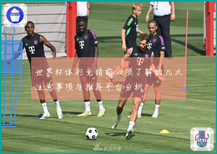 世界杯体彩竞猜前必须了解的几大注意事项与推荐平台分析