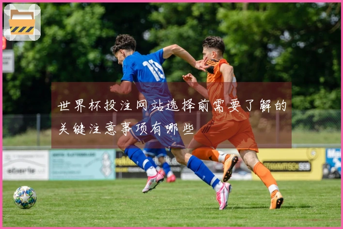 世界杯投注网站选择前需要了解的关键注意事项有哪些