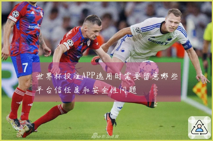 世界杯投注APP选用时需要留意哪些平台信任度和安全性问题